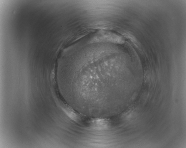 X0000070420365200606161444