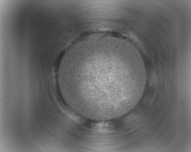 X0000070420366200606161444