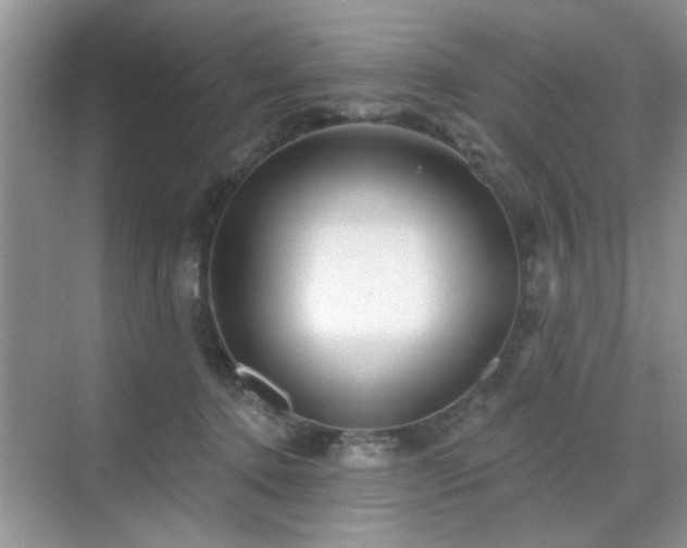 X0000070420368200606161444