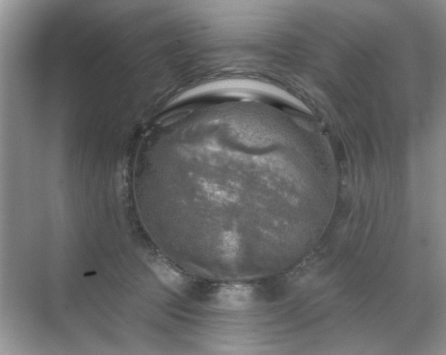 X0000070420369200606161444