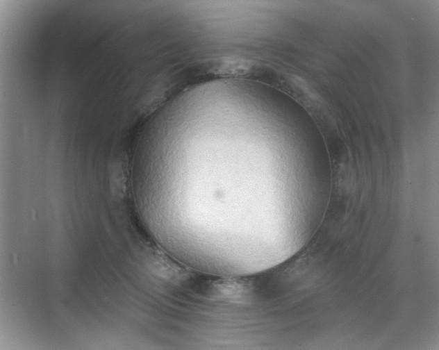 X0000070420370200606161444