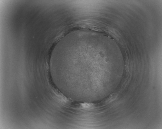 X0000070420371200606161444