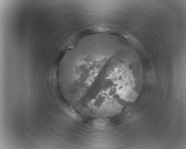 X0000070420373200606161444