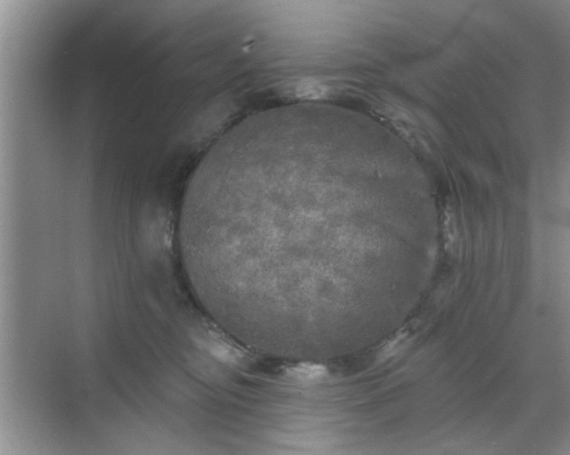 X0000070420374200606161444