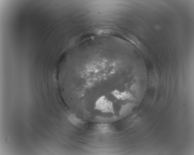 X0000070420377200606161444