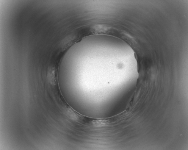 X0000070420378200606161444