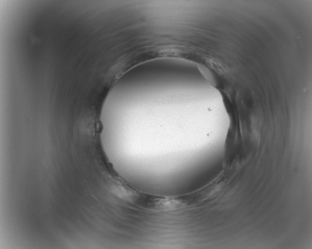 X0000070420379200606161444