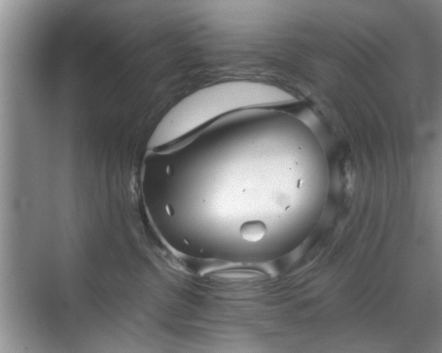 X0000070420380200606161444