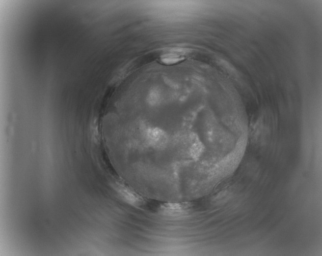 X0000070420381200606161444