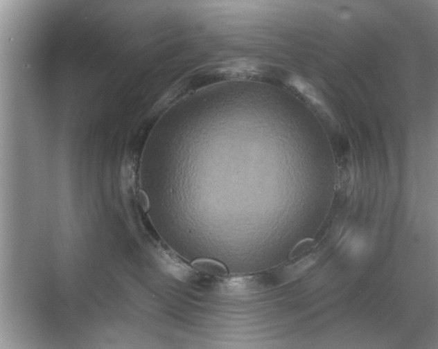 X0000070420382200606161444