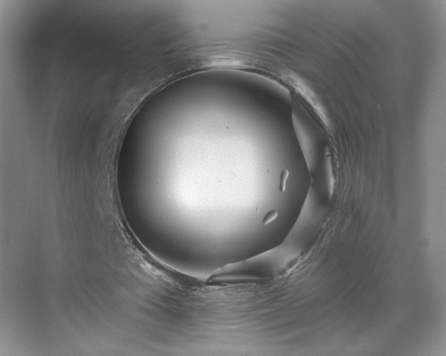 X0000070420385200606161443