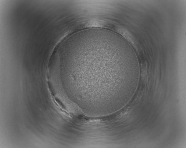 X0000070420386200606161443