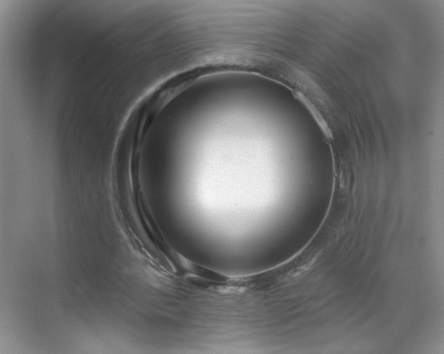 X0000070420388200606161443