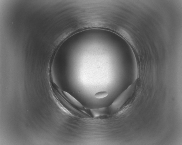 X0000070420389200606161443