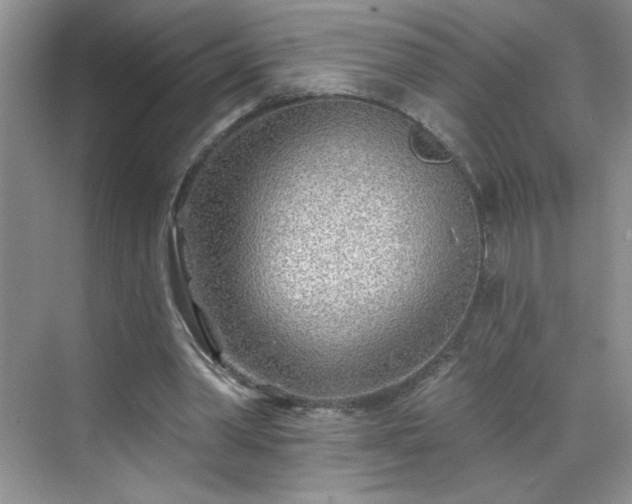 X0000070420390200606161443