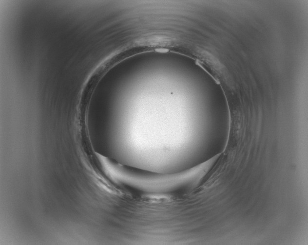 X0000070420392200606161443