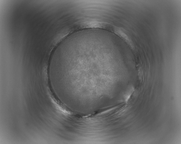 X0000070420394200606161443