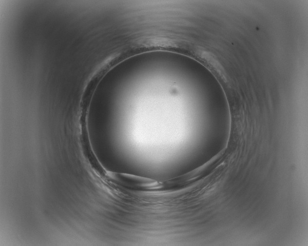 X0000070420395200606161443