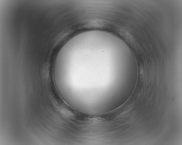 X0000070420396200606161443