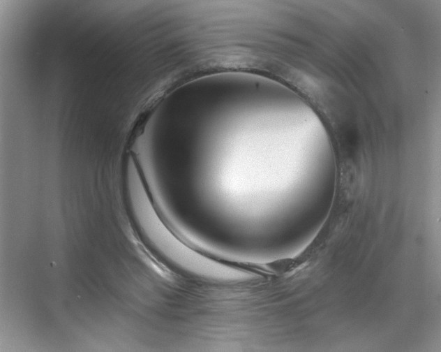 X0000070420397200606161443