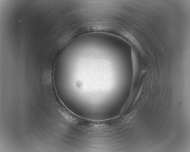 X0000070420401200606161443