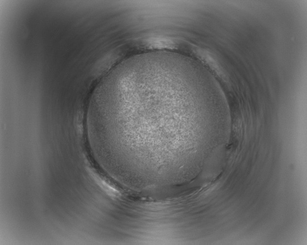 X0000070420402200606161443