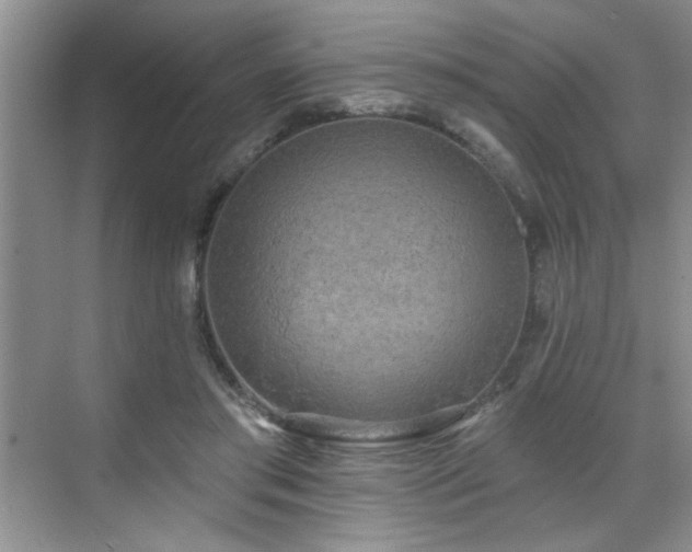 X0000070420405200606161443