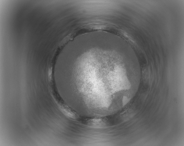 X0000070420406200606161443