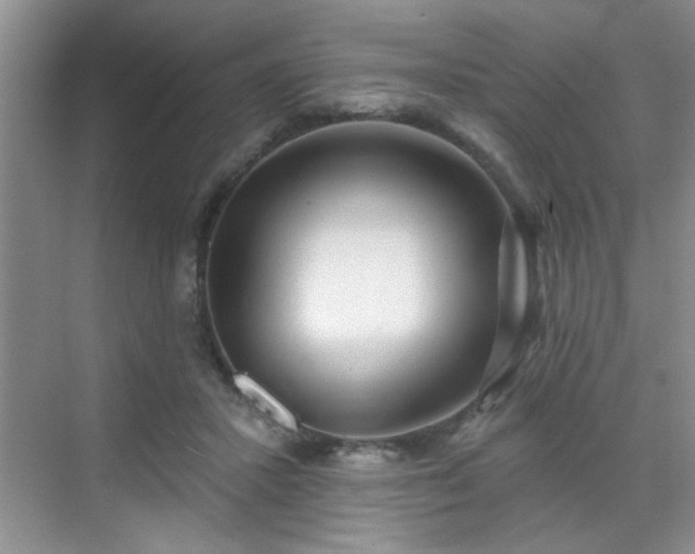 X0000070420407200606161443