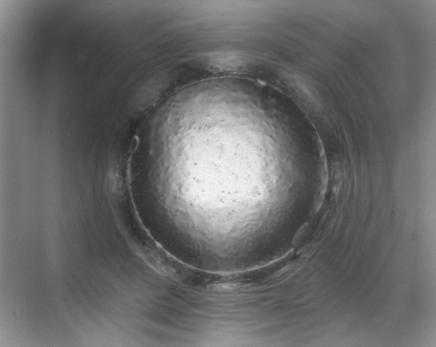 X0000070420408200606161443