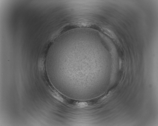 X0000070420409200606161443