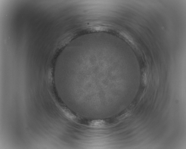 X0000070420410200606161443