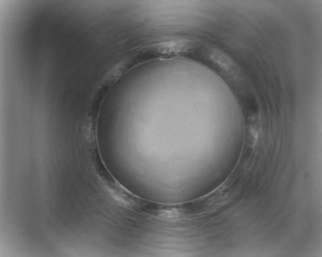 X0000070420411200606161443