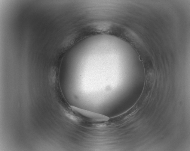 X0000070420412200606161443