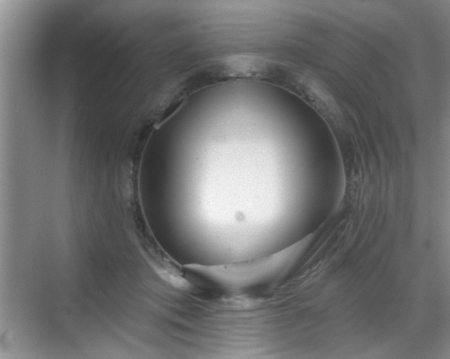 X0000070420413200606161443