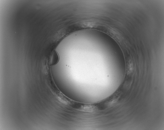 X0000070420414200606161443