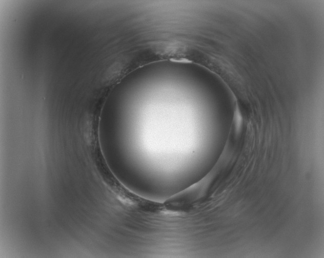 X0000070420416200606161443