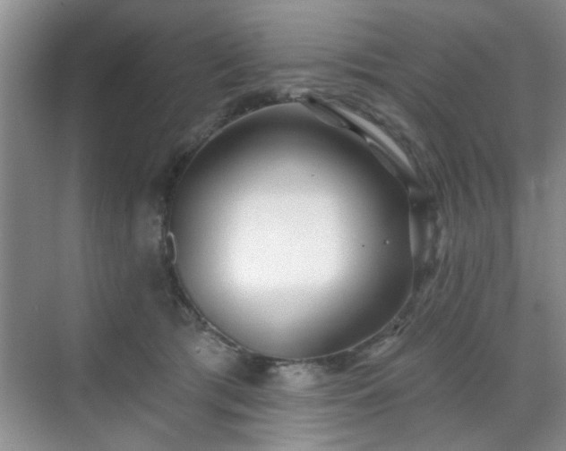 X0000070420417200606161443