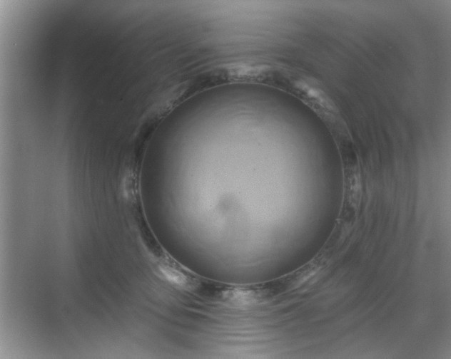 X0000070420419200606161443