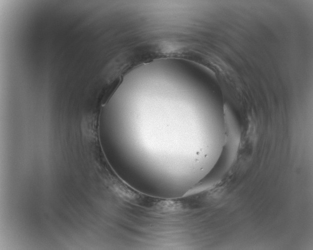 X0000070420421200606161443