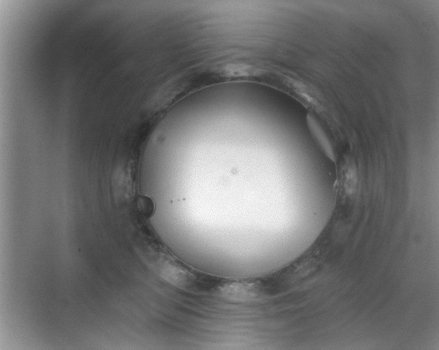 X0000070420422200606161443