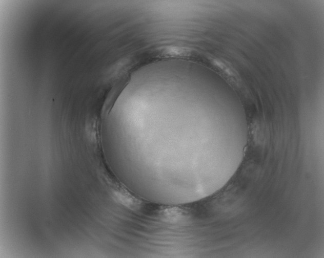 X0000070420423200606161443