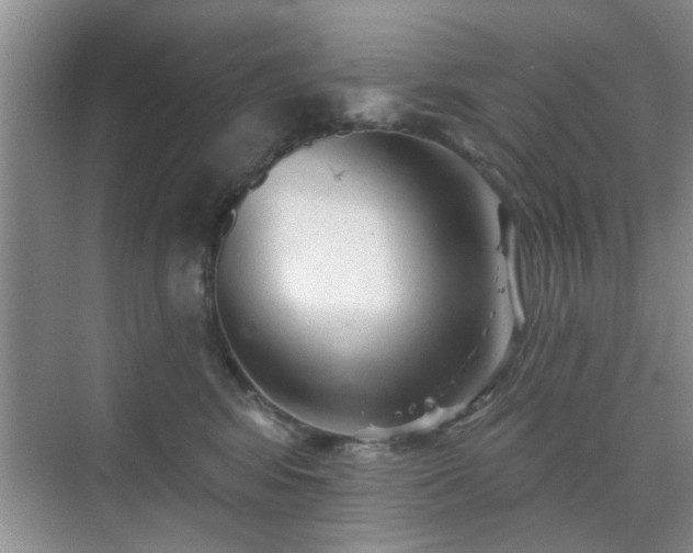 X0000070420424200606161443