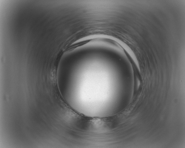 X0000070420425200606161443