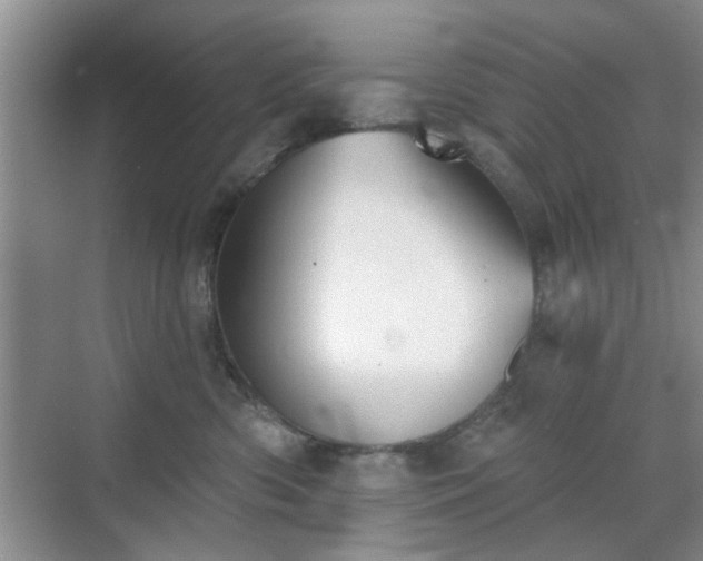 X0000070420426200606161443