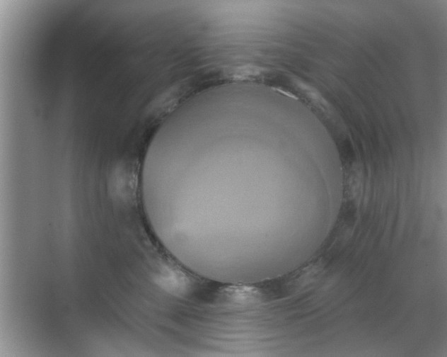 X0000070420427200606161443