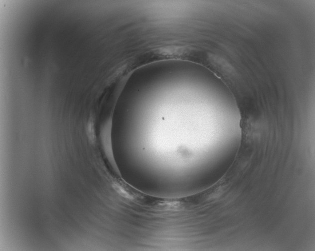 X0000070420428200606161443