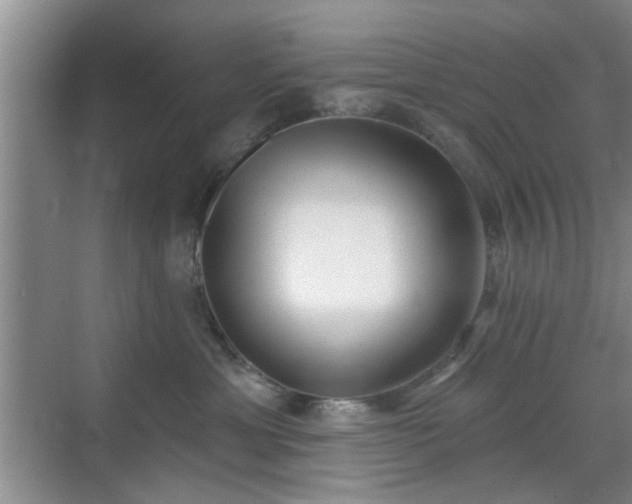 X0000070420429200606161443