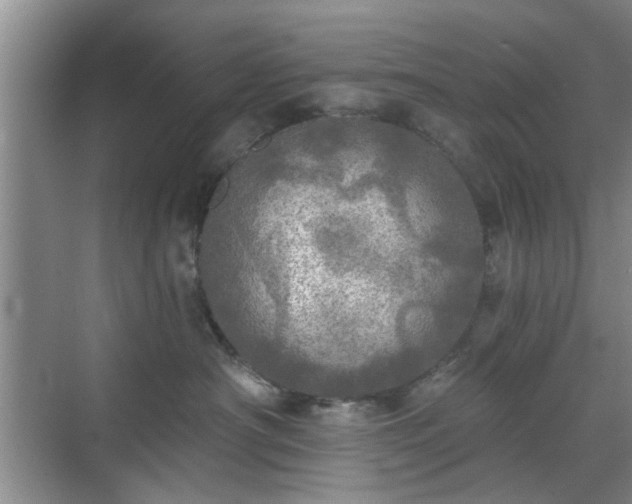 X0000070420430200606161443