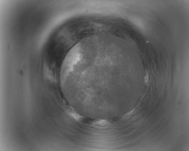 X0000070420431200606161443